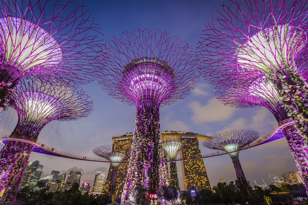Singapore Supertree